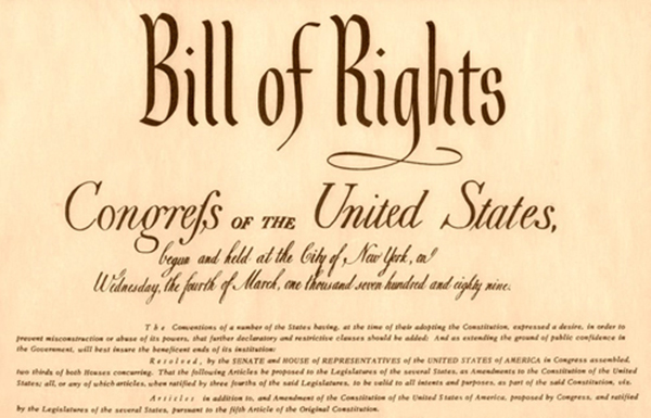The bill of rights essay