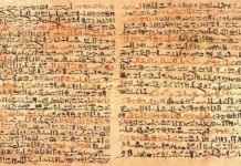 mesopotamia vs egypt essay